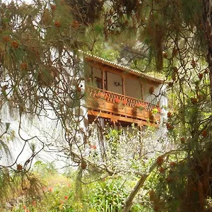 finca-casa-de-la-virgen.in-canary-islands.com/